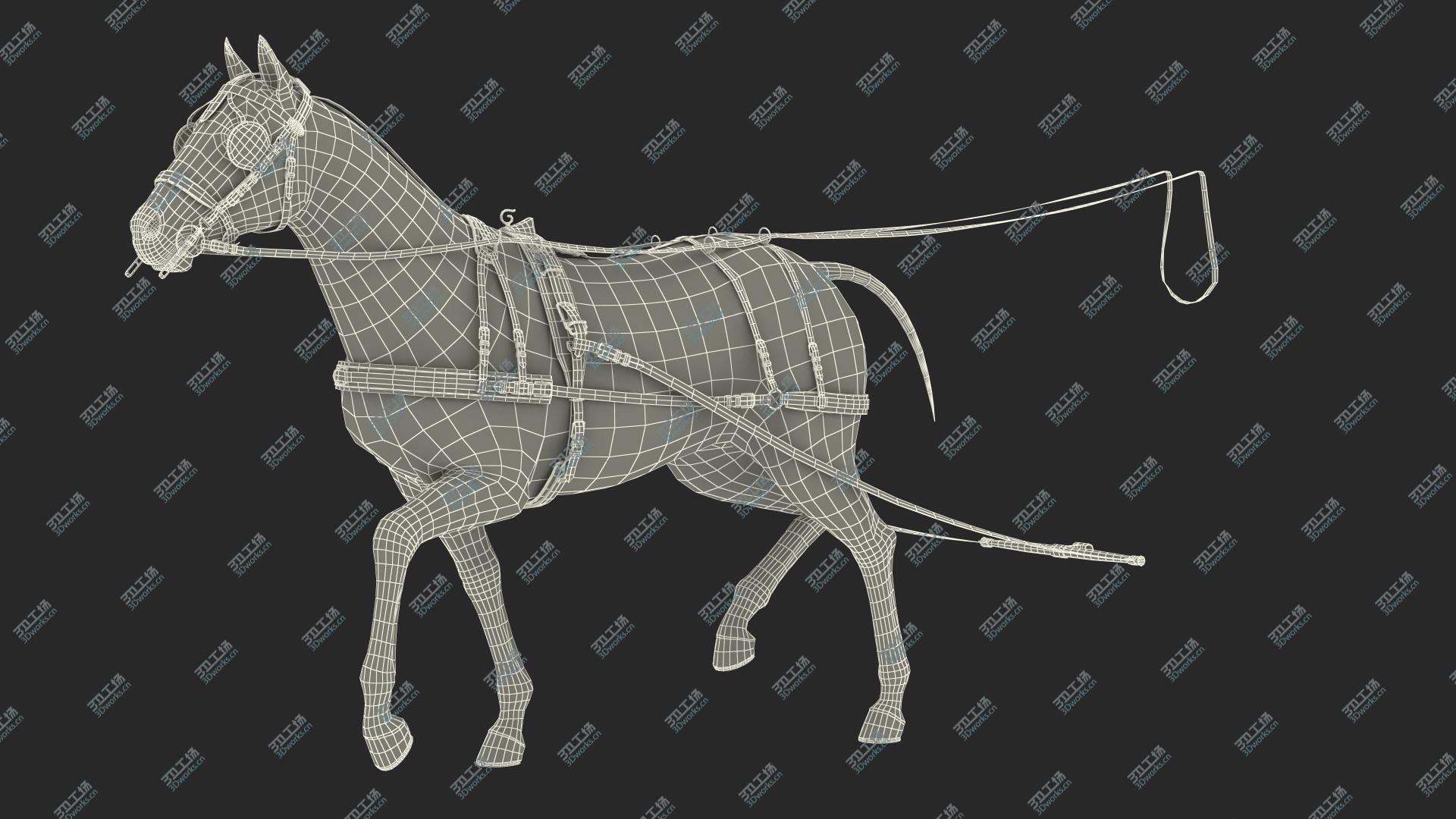 images/goods_img/202104093/3D model Horse Drawn Leather Harness Walking Pose/3.jpg